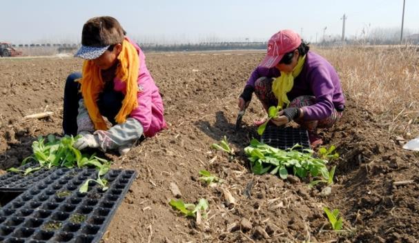 打好2022年農業(yè)生產第一仗 青島即墨區(qū)扎實推進春耕工作