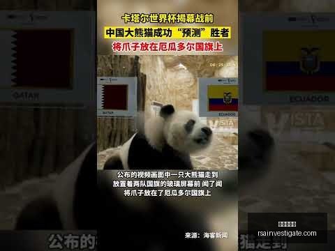 医院护工华,丽转身,体力劳动者,九游会中心官网,九游会App,九游会互动,九游会备用,九游会平台